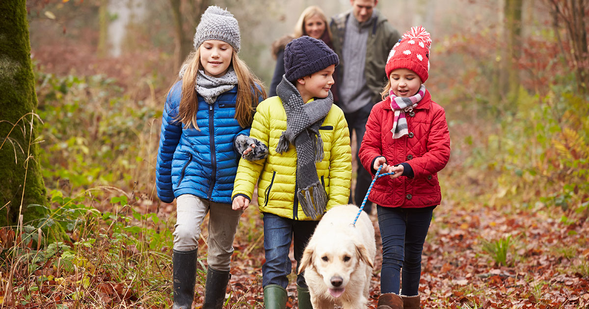 Family Walking Dog Through Winter Woodland